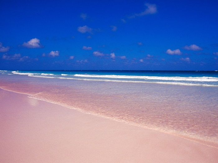 pink-sands-beach-harbour-island-bahamas