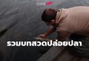 รวมบทสวดปล่อยปลา สะเดาะเคราะห์ แก้กรรม ต่อดวงชะตา