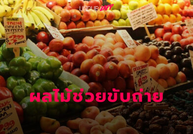 จัดอันดับผลไม้กากใยสูง ช่วยขับถ่าย ดีท็อกซ์ลำไส้ด้วยวิธีธรรมชาติ